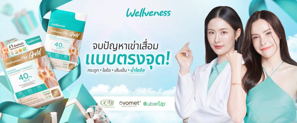  เวลวีเนส